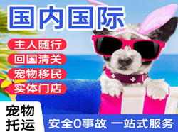 重庆梁平机场快运国际宠物托运 【国